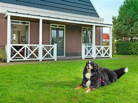 Alle vakantiehuizen met omheinde tuin voor je hond